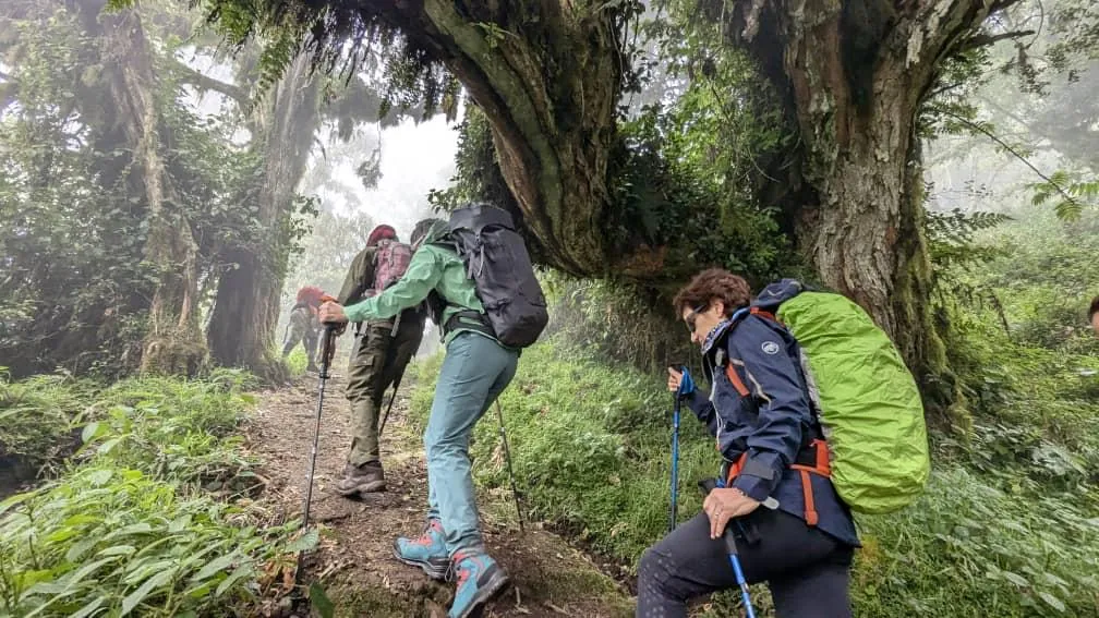 Mount Kilimanjaro trekking landscape